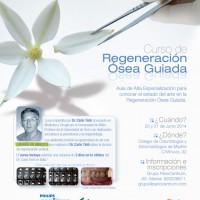 Regeneracion Osea Guiada